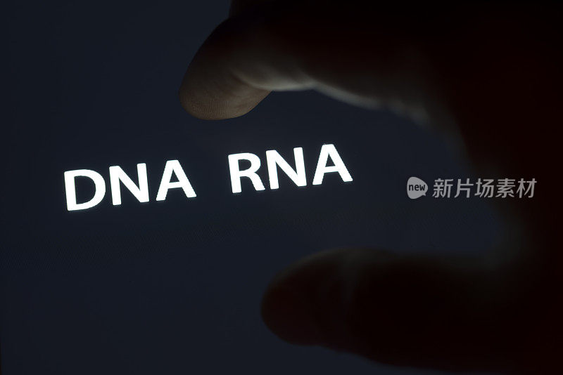 DNA RNA在触摸板上被手覆盖